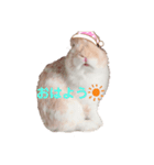 うさぎの虎太郎くん♡（個別スタンプ：6）