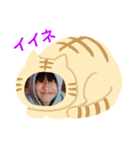 コレクトオブ智哉（個別スタンプ：3）