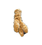 好きなmillet（個別スタンプ：7）