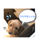 ワイヤーダックスのRin 日常挨拶（個別スタンプ：5）