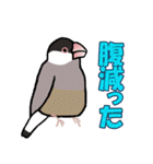 文鳥'sの一言（個別スタンプ：12）