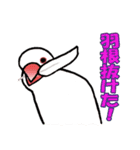 文鳥'sの一言（個別スタンプ：19）