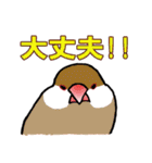 文鳥'sの一言（個別スタンプ：20）