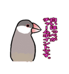 文鳥'sの一言（個別スタンプ：23）