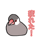 文鳥'sの一言（個別スタンプ：27）