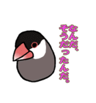 文鳥'sの一言（個別スタンプ：33）