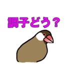 文鳥'sの一言（個別スタンプ：34）