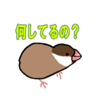 文鳥'sの一言（個別スタンプ：37）