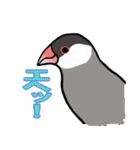 文鳥'sの一言（個別スタンプ：40）