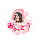あんこちゃんの日常（個別スタンプ：6）