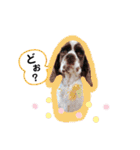 あんこちゃんの日常（個別スタンプ：14）