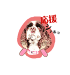 あんこちゃんの日常（個別スタンプ：20）