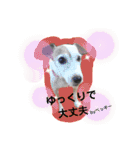 あんこちゃんの日常（個別スタンプ：29）