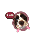 あんこちゃんの日常（個別スタンプ：32）