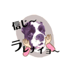 あんこちゃんの日常（個別スタンプ：36）