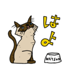 ウチノネコタチ（個別スタンプ：1）