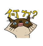 ウチノネコタチ（個別スタンプ：2）
