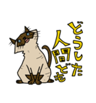 ウチノネコタチ（個別スタンプ：6）