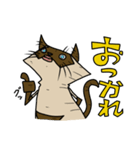 ウチノネコタチ（個別スタンプ：12）
