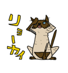 ウチノネコタチ（個別スタンプ：13）