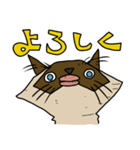 ウチノネコタチ（個別スタンプ：20）