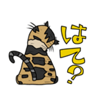 ウチノネコタチ（個別スタンプ：22）