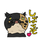 ウチノネコタチ（個別スタンプ：24）