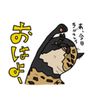 ウチノネコタチ（個別スタンプ：26）