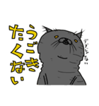 ウチノネコタチ（個別スタンプ：33）