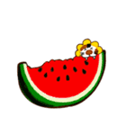 ひまわりネコ 夏スタンプ（個別スタンプ：5）