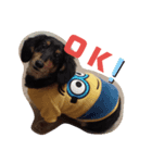 TORUKON RIRI2（個別スタンプ：1）