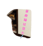 TORUKON RIRI2（個別スタンプ：8）
