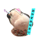 chicken＆chickOO1（個別スタンプ：2）