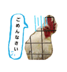chicken＆chickOO1（個別スタンプ：15）
