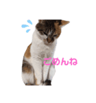 りっかと仲間たち（個別スタンプ：1）