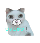 りっかと仲間たち（個別スタンプ：2）