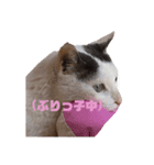 りっかと仲間たち（個別スタンプ：4）