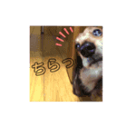 だっくすふんとのダクちゃん。（個別スタンプ：5）
