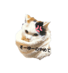 でぶたま。（個別スタンプ：2）