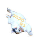 でぶたま。（個別スタンプ：5）