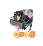 おでぶのりくくん（個別スタンプ：9）