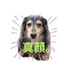 おでぶのりくくん（個別スタンプ：10）