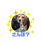 たぁのスタンプ♡（個別スタンプ：3）