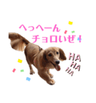 おもしろぴちゃん（個別スタンプ：2）