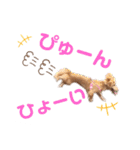 おもしろぴちゃん（個別スタンプ：5）