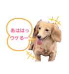 おもしろぴちゃん（個別スタンプ：7）