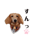 おもしろぴちゃん（個別スタンプ：11）