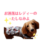 おもしろぴちゃん（個別スタンプ：13）