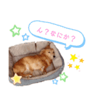おもしろぴちゃん（個別スタンプ：14）