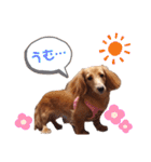 おもしろぴちゃん（個別スタンプ：15）